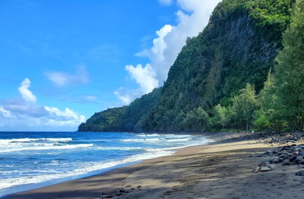 Waipio Beach Honokaa Hawaii Beaches