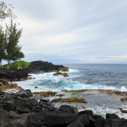 Hawaiian Paradise Park: A Work in Progress 