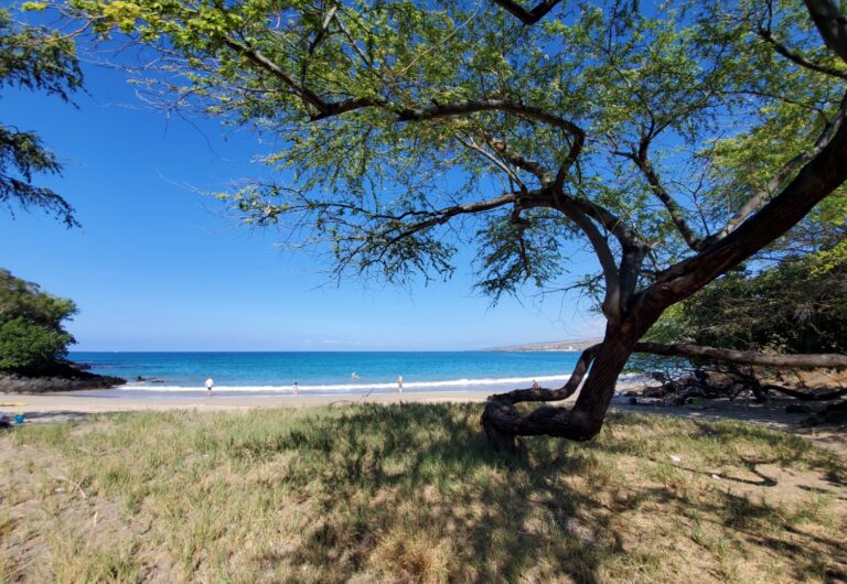 We Discovered The Best Hidden Beaches On Hawaii’s Big Island - Hawaii ...