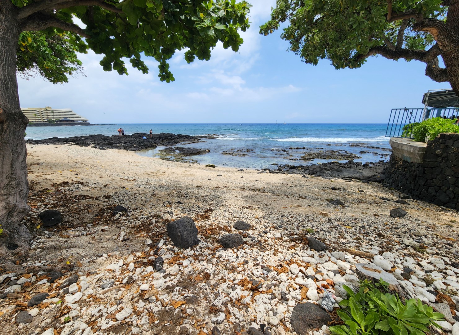 Honl S Beach Kailua Kona Hawaii Beaches